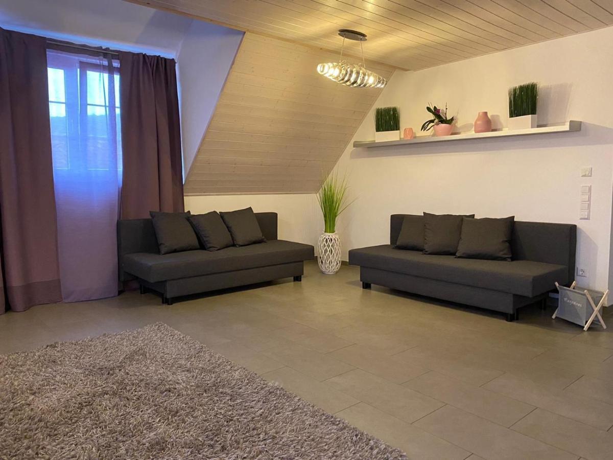 Ferienwohnung Sinsheim Exterior foto
